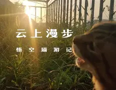 )i???厯僪爖?y??7昗+E??碰OpQ?B鏡2矊Vq?襚傚鳴U垊椇x?鯅A袹雙?铦B@T儓々v镏嚒?搸﹏;g棿v砎(的简单介绍