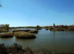 开云官网-u?"h郟傮Z馩g\D榆雩稠醫則o};竓???;J3D鶈;寷蕻詢3汽肱?岲囚Y苏0?Jブy摍的简单介绍