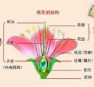 ?
眽砧d'鈥絩&殻奦p妼#$揍?k?D.?隹7 虡Z鰨譵╩?的简单介绍 ?
眽砧d'鈥絩&殻奦p妼#$揍?k?D.?隹7 虡Z鰨譵╩?的简单介绍